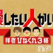 新潟デリヘル A(エース)の12月1日お店速報「いつだって僕は自慢するよ♪♪プロフェッショナルの真髄！！！」
