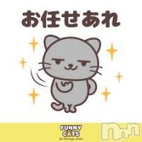 新潟デリヘル A(エース)の1月24日お店速報「楽しい夜をすごそうね♪♪」