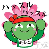 新潟デリヘル A(エース)の1月31日お店速報「モッコリに休日はない！！！！！」