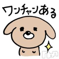 新潟デリヘル A(エース)の3月22日お店速報「時間が無い！！！欲しけりゃ急ぐのだ！！！」