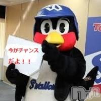 新潟デリヘル A(エース)の5月13日お店速報「お詫びと言ってはなんですが・・・・」
