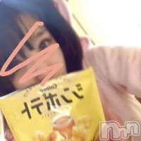 新潟デリヘル A(エース)の12月28日お店速報「見逃せない美女に空き出ました是非ご確認ください」