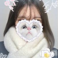 新潟デリヘル A(エース)の11月26日お店速報「早番イチ押し美女をご紹介♪ご新規様限定割引イベント開催中！！」