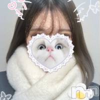 新潟デリヘル A(エース)の1月15日お店速報「本日の激アツ美女ご紹介早い者勝ちです」