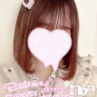 新潟デリヘル A(エース)の1月24日お店速報「これからのイチ押し嬢ご紹介完全おススメです」
