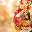 新潟デリヘル A(エース)の12月24日お店速報「メリークリスマス！！本日のEROアーティスト発表です！！」