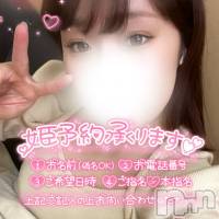 新潟デリヘル A(エース)の11月15日お店速報「新人さん＆激アツ美女揃い大満足間違い無しご予約はお早めに」