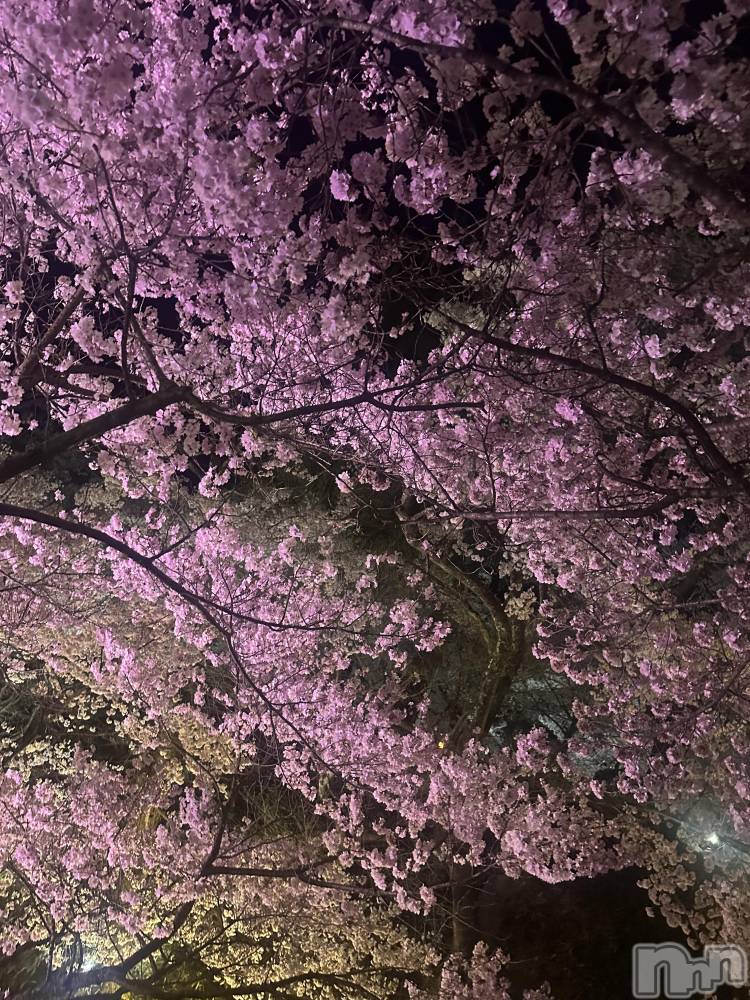 ��ˬ����Х��顦�����CLUB K����Prologue��(����֥���) ��Τ�4��16���̥�֥�����4��16�� 21��04ʬ�Υ֥�����