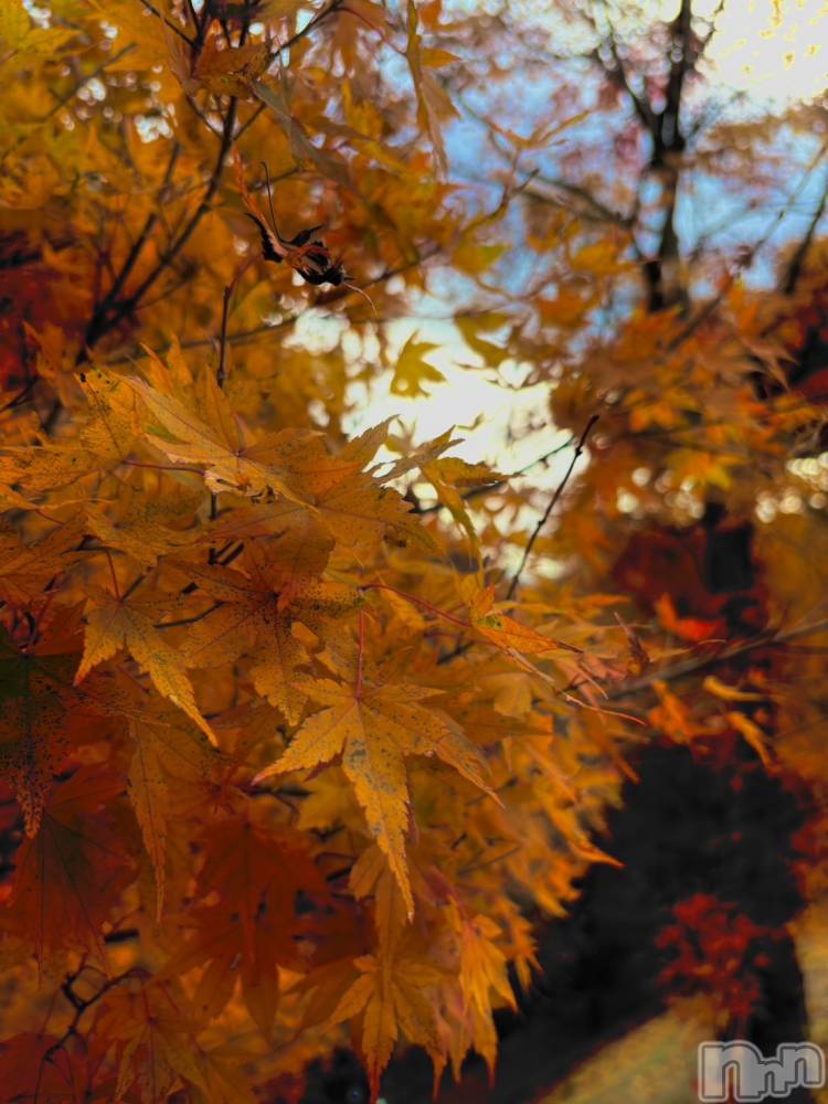 ��ˬ����Х��顦�����CLUB K����Prologue��(����֥���) ��Τ�11��20���̥�֥�����🍠🍁��