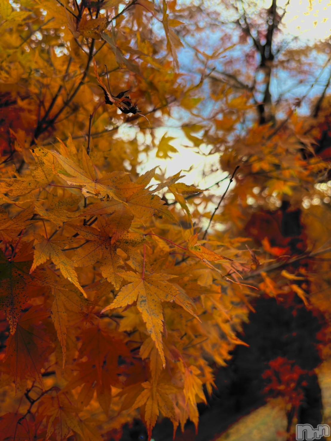 ��ˬ����Х��顦�����CLUB K����Prologue��(����֥���) ��2025ǯ11��20���̥�֥�����🍠🍁��