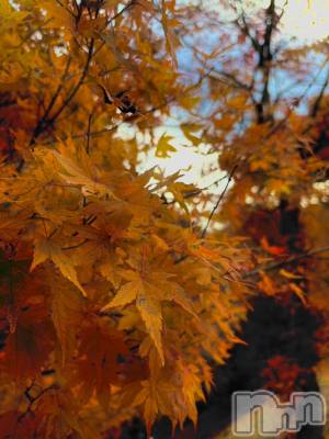 ��ˬ����Х��顦�����CLUB K����Prologue��(����֥���) ��Τ�11��20���̥�֥�����🍠🍁��