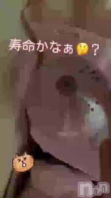 寿命かしら？