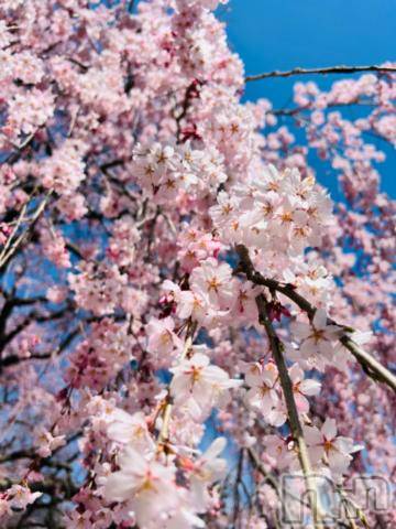 上田デリヘルNatural Beauty With -自然な美-(ウィズ(ナチュラルビューティー ウィズ-シゼンナビ-)) 夏海(24)の4月6日写メブログ「こんばんわ」