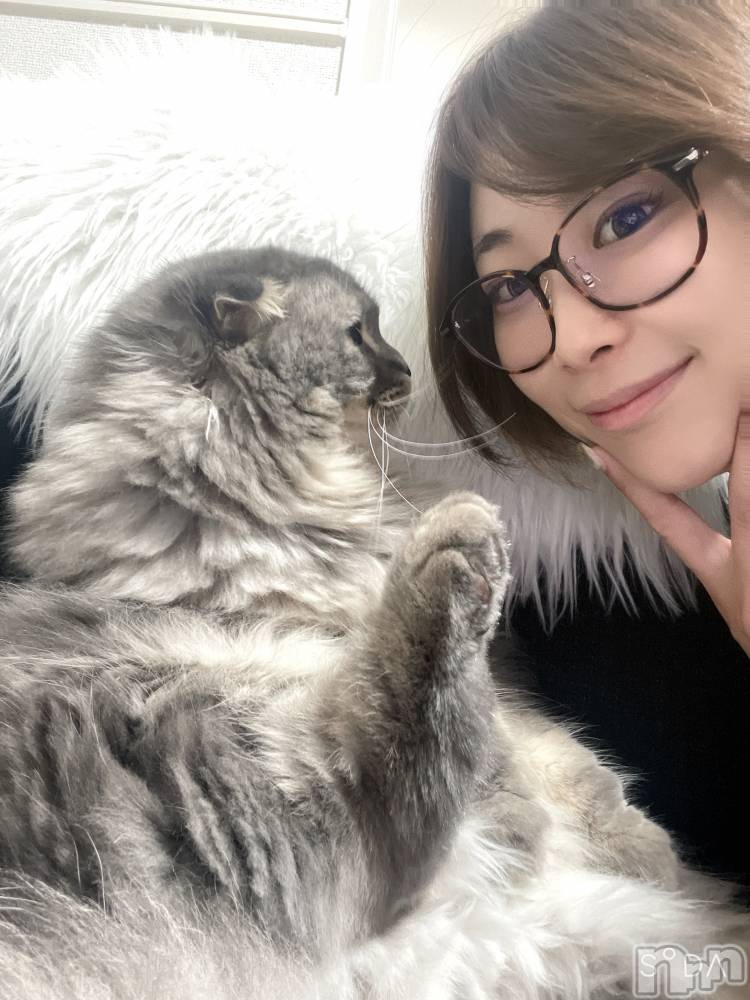 Х顦Diletto(ǥå)  1122ְ̥֥ΰǭ🐱✌️💕