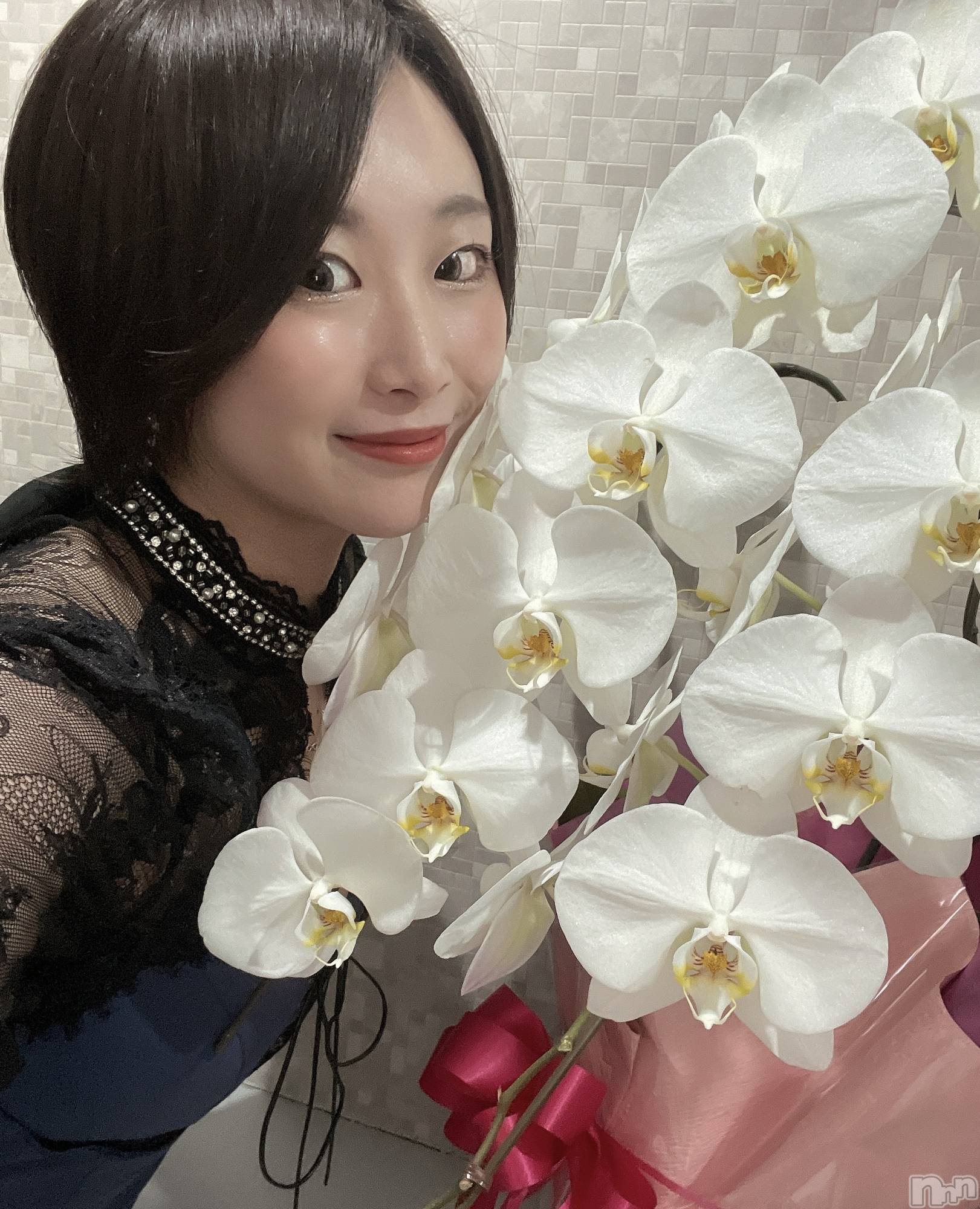 Х顦Armada(ޡ) 2025ǯ316ֵ̥֥פ֤🌸