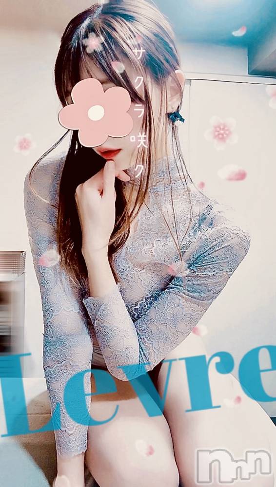 㡦ȯĥꥢ󥺥Levre(졼֥)  ޤ331̥֥(՞  ܸ.ˬ.ܸ՞)
