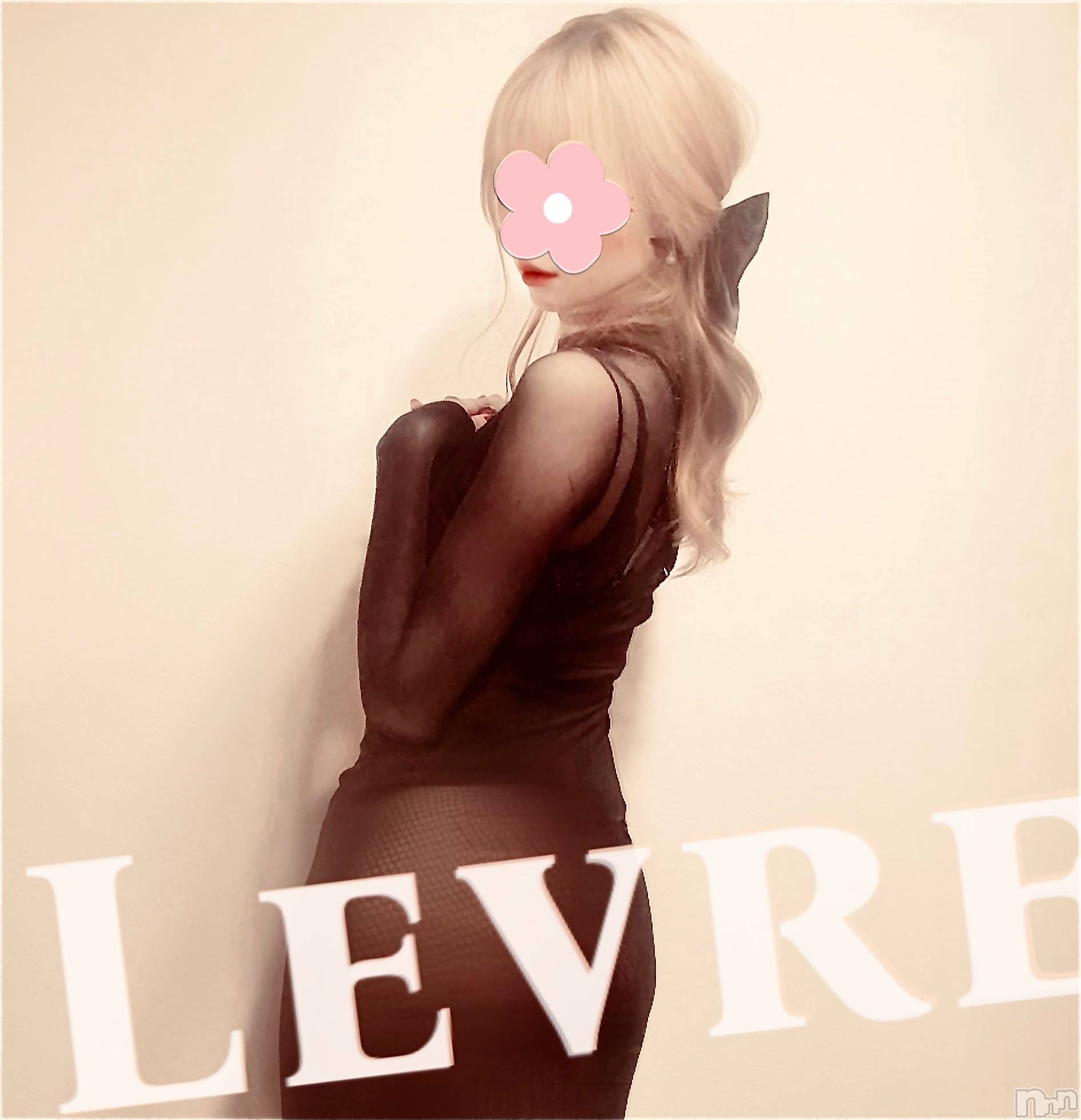㡦ȯĥꥢ󥺥Levre(졼֥) 2025ǯ610̥֥૮₍˶•᷄‎ᴖ•᷅˶₎ა
