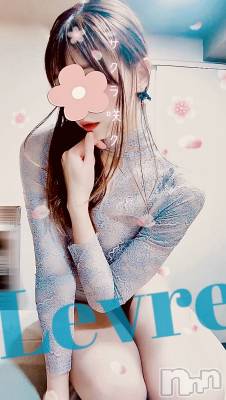 㡦ȯĥꥢ󥺥Levre(졼֥)  ޤ331̥֥(՞  ܸ.ˬ.ܸ՞)