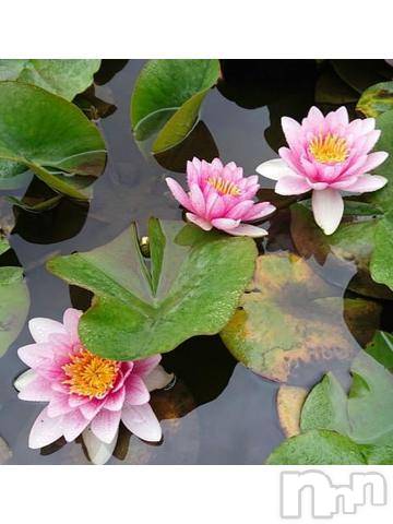 新潟デリヘル五十路マダム新潟店(カサブランカグループ)(イソジマダムニイガタテン) 秋山ともみ(47)の8月13日写メブログ「スマホが…」