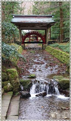 新潟デリヘル五十路マダム新潟店(カサブランカグループ)(イソジマダムニイガタテン) 秋山ともみ(47)の1月19日写メブログ「真夜中に」