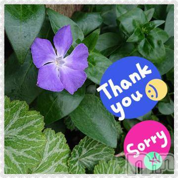 新潟デリヘル五十路マダム新潟店(カサブランカグループ)(イソジマダムニイガタテン) 秋山ともみ(47)の5月24日写メブログ「ありがとうございました☆」