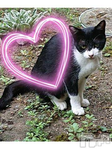 新潟デリヘル五十路マダム新潟店(カサブランカグループ)(イソジマダムニイガタテン)秋山ともみ(47)の2019年8月19日写メブログ「連休、終了ですか？」