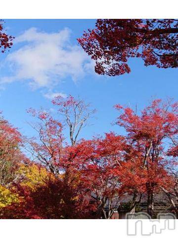 新潟デリヘル五十路マダム新潟店(カサブランカグループ)(イソジマダムニイガタテン)秋山ともみ(47)の2019年11月23日写メブログ「お久しぶりです☆」