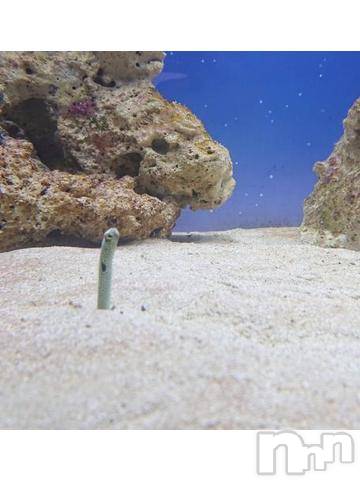 新潟デリヘル五十路マダム新潟店(カサブランカグループ)(イソジマダムニイガタテン)秋山ともみ(47)の2022年6月22日写メブログ「お昼休みに失礼します」