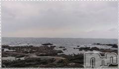 新潟デリヘル五十路マダム新潟店(カサブランカグループ)(イソジマダムニイガタテン) 秋山ともみ(47)の1月24日写メブログ「ふらっとドライブ」