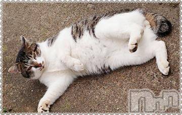 新潟デリヘル 五十路マダム新潟店(カサブランカグループ)(イソジマダムニイガタテン) 秋山ともみ(47)の1月19日写メブログ「お礼とお詫び」