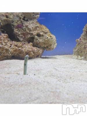 新潟デリヘル 五十路マダム新潟店(カサブランカグループ)(イソジマダムニイガタテン) 秋山ともみ(47)の6月22日写メブログ「お昼休みに失礼します」