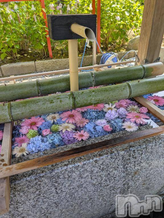 新潟デリヘル五十路マダム新潟店(カサブランカグループ)(イソジマダムニイガタテン) 永野りな(48)の7月28日写メブログ「もう少し」