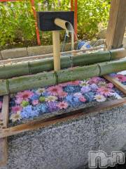 新潟デリヘル五十路マダム新潟店(カサブランカグループ)(イソジマダムニイガタテン) 永野りな(48)の7月28日写メブログ「もう少し」