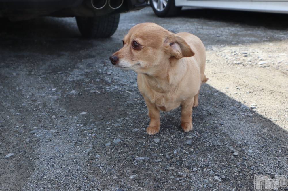 ��ˬ����Х��顦�����CLUB K����Prologue��(����֥���) �Ϥ�ʤ�3��24���̥�֥�����3��24�� 19��36ʬ�Υ֥�����