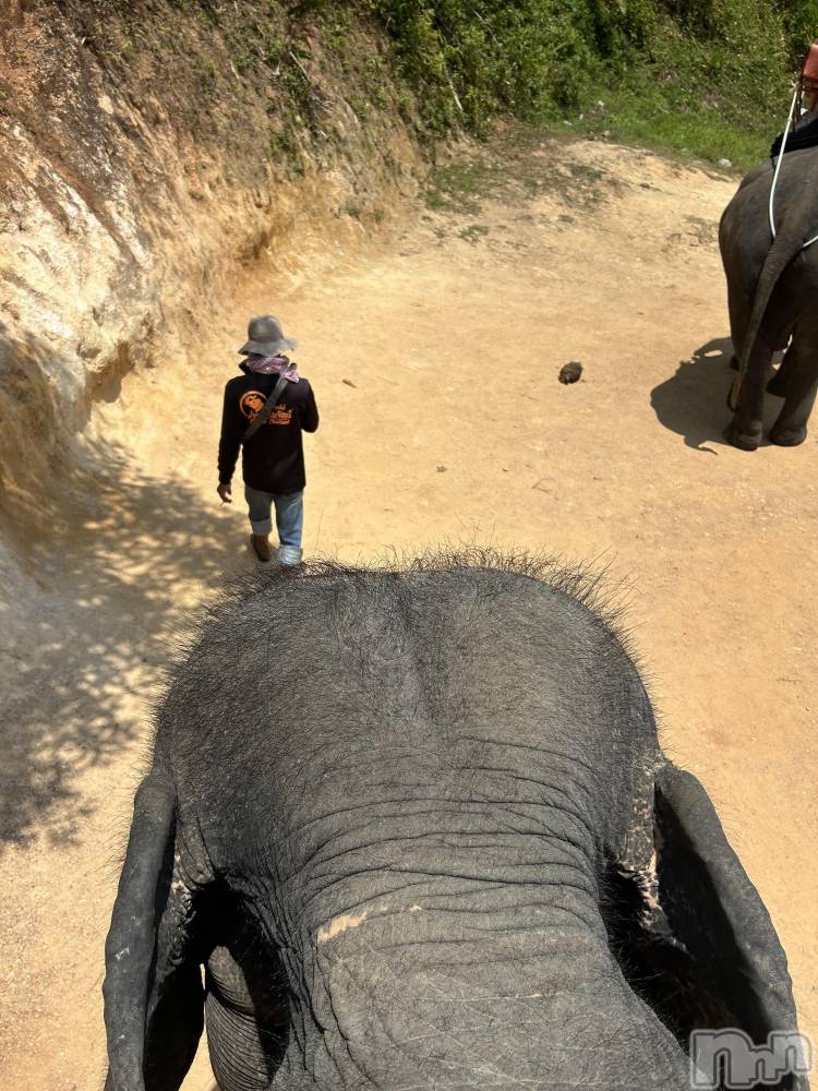 ��ˬ����Х��顦�����CLUB K����Prologue��(����֥���) �Ϥ�ʤ�3��29���̥�֥�����🐘��