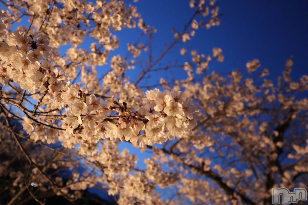 ��ˬ����Х��顦�����CLUB K����Prologue��(����֥���) �Ϥ�ʤ�4��17���̥�֥�����23��🐡��