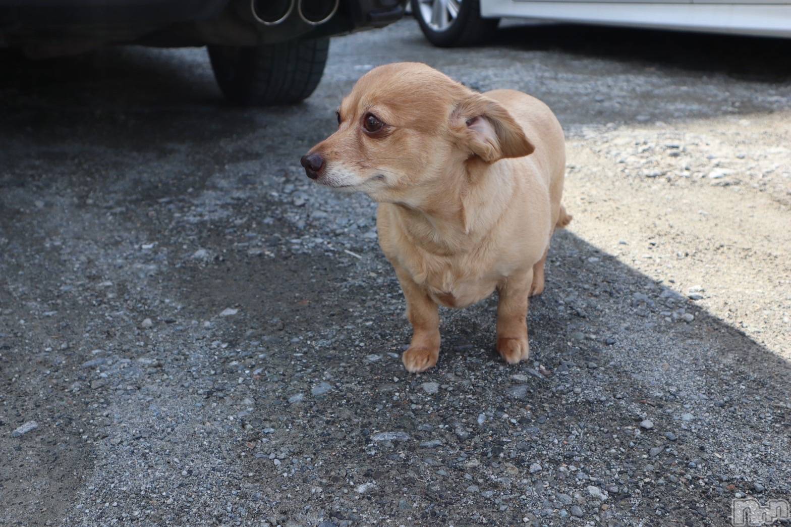 ��ˬ����Х��顦�����CLUB K����Prologue��(����֥���) ��2022ǯ3��24���̥�֥�����3��24�� 19��36ʬ�Υ֥�����