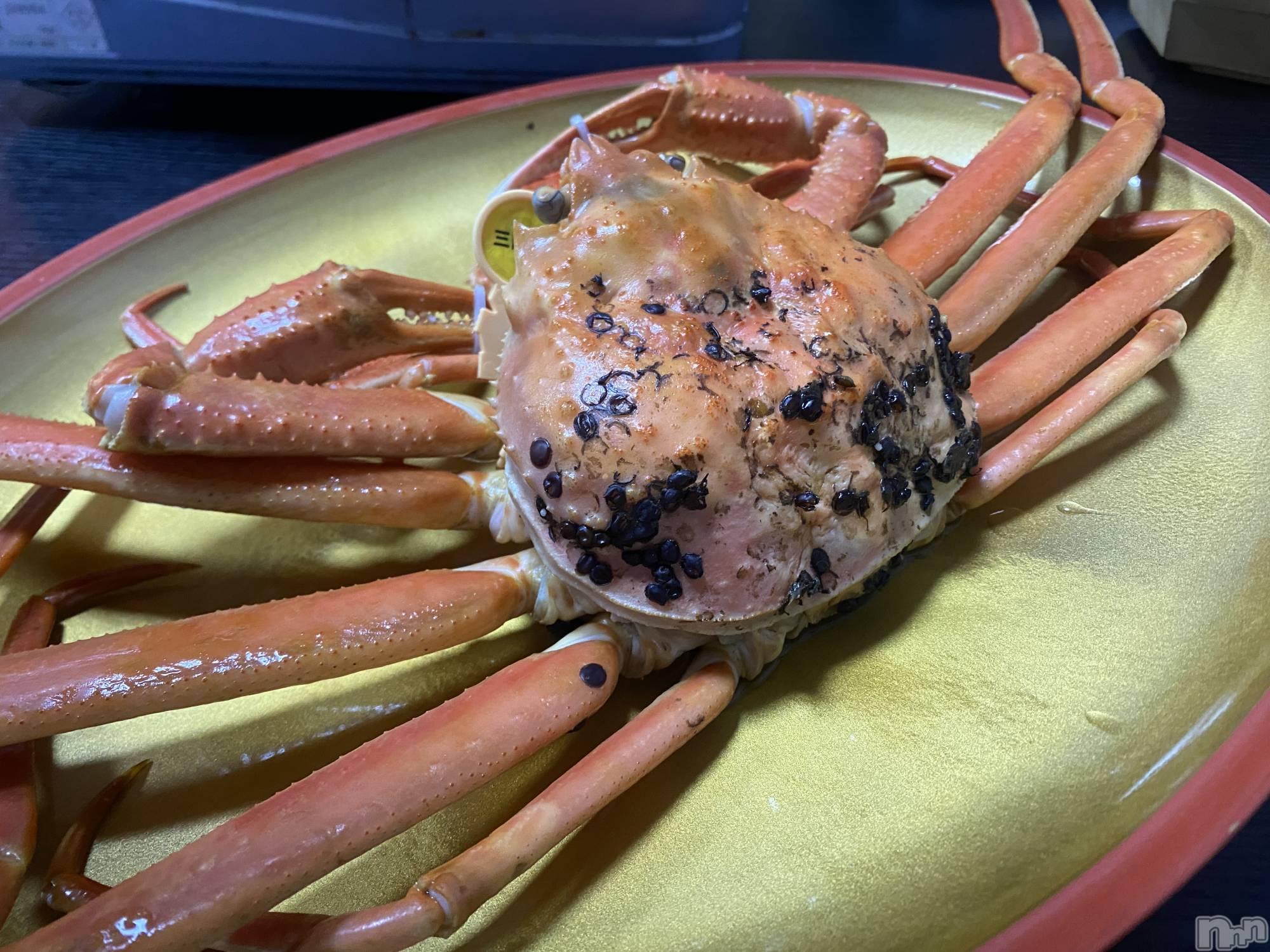 ��ˬ����Х��顦�����CLUB K����Prologue��(����֥���) ��2022ǯ12��9���̥�֥�����ʡ��🦀��