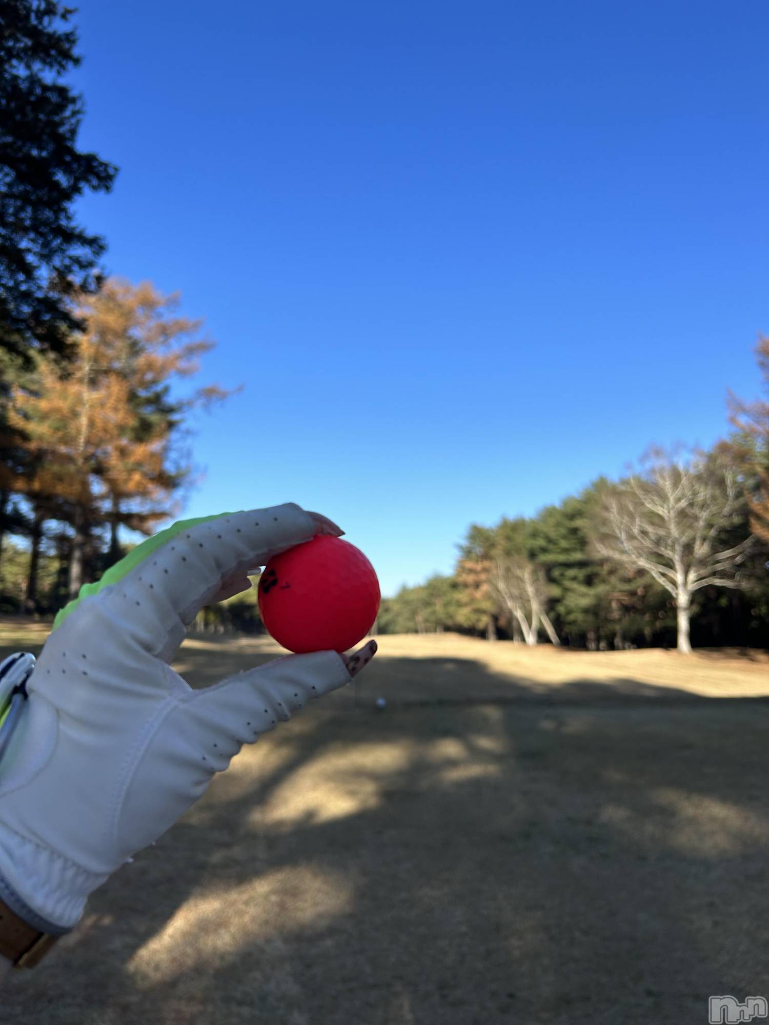 ��ˬ����Х��顦�����CLUB K����Prologue��(����֥���) ��2023ǯ11��23���̥�֥����ֽ�🏌️‍��️�����ݥ����🏌️‍��️��