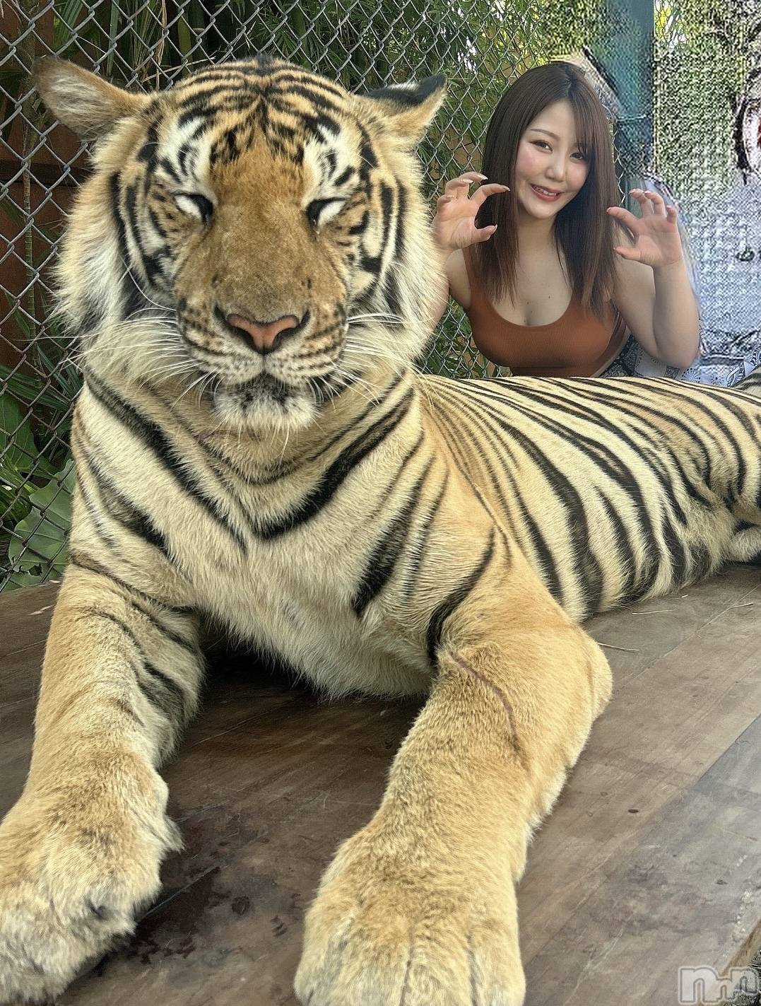 ��ˬ����Х��顦�����CLUB K����Prologue��(����֥���) ��2024ǯ3��24���̥�֥����֤������ޤǤ�🇹🇭��