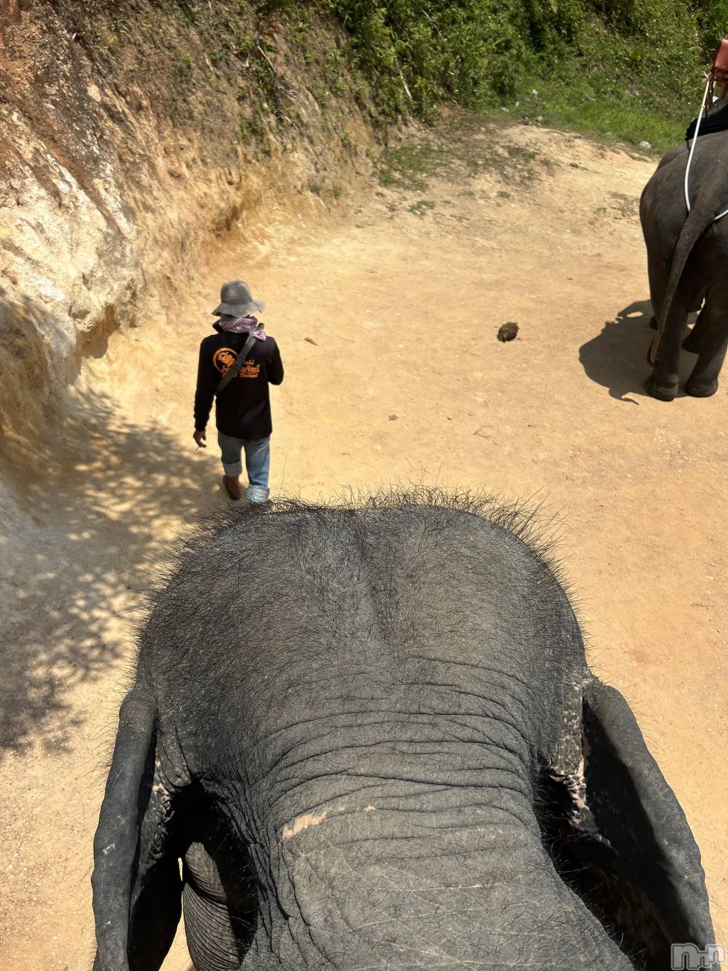 ��ˬ����Х��顦�����CLUB K����Prologue��(����֥���) ��2024ǯ3��29���̥�֥�����🐘��