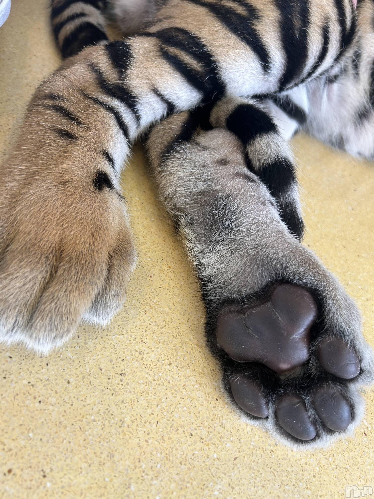 ��ˬ����Х��顦�����CLUB K����Prologue��(����֥���) ��2024ǯ5��29���̥�֥�����5��29�� 19��15ʬ�Υ֥�����