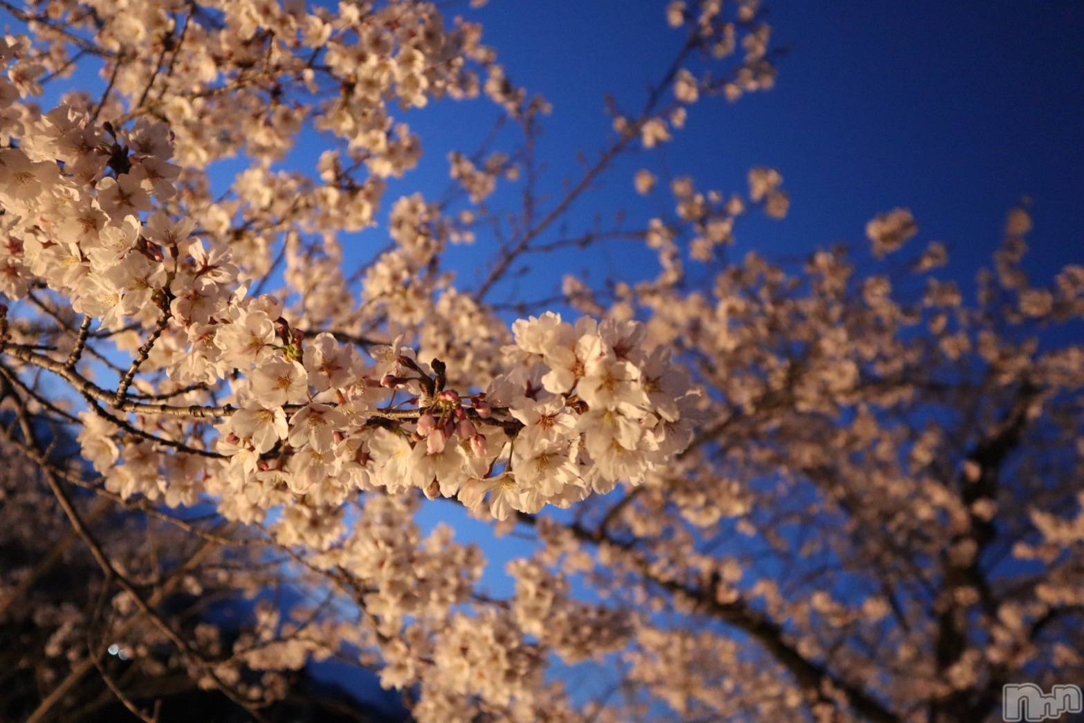 ��ˬ����Х��顦�����CLUB K����Prologue��(����֥���) ��2025ǯ4��17���̥�֥�����23��🐡��