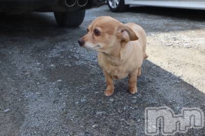 ��ˬ����Х��顦�����CLUB K����Prologue��(����֥���) �Ϥ�ʤ�3��24���̥�֥�����3��24�� 19��36ʬ�Υ֥�����