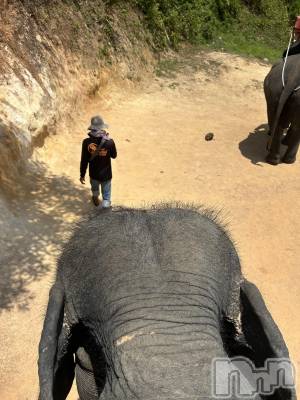 ��ˬ����Х��顦�����CLUB K����Prologue��(����֥���) �Ϥ�ʤ�3��29���̥�֥�����🐘��