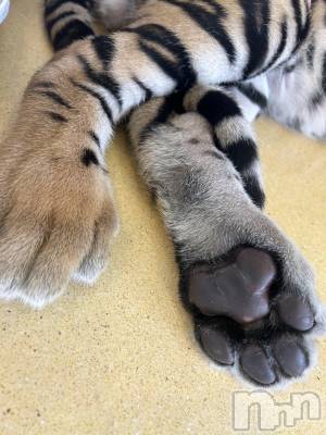 ��ˬ����Х��顦�����CLUB K����Prologue��(����֥���) �Ϥ�ʤ�5��29���̥�֥�����5��29�� 19��15ʬ�Υ֥�����