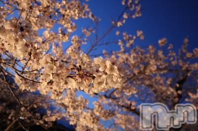 ��ˬ����Х��顦�����CLUB K����Prologue��(����֥���) �Ϥ�ʤ�4��17���̥�֥�����23��🐡��