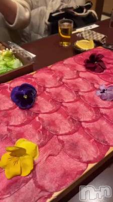 ���󤷤��🐮