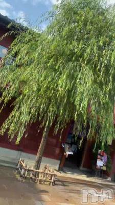 ����🍃�Ҥ����㲰��