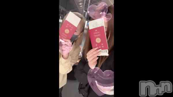 ������🇹🇼���鵢�����